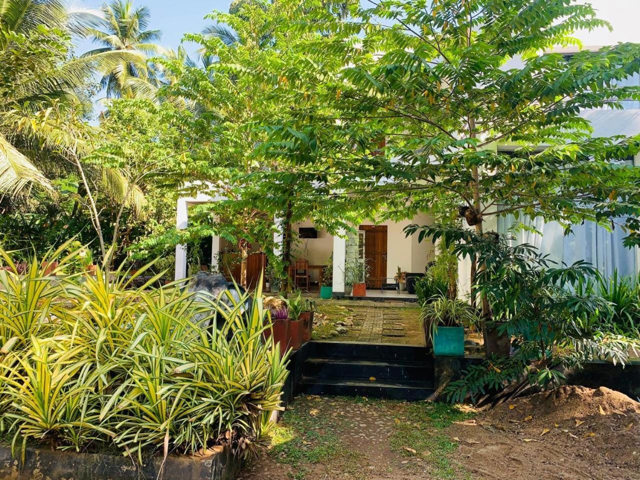 אודוואלאווה Chill House Safari Resort מראה חיצוני תמונה