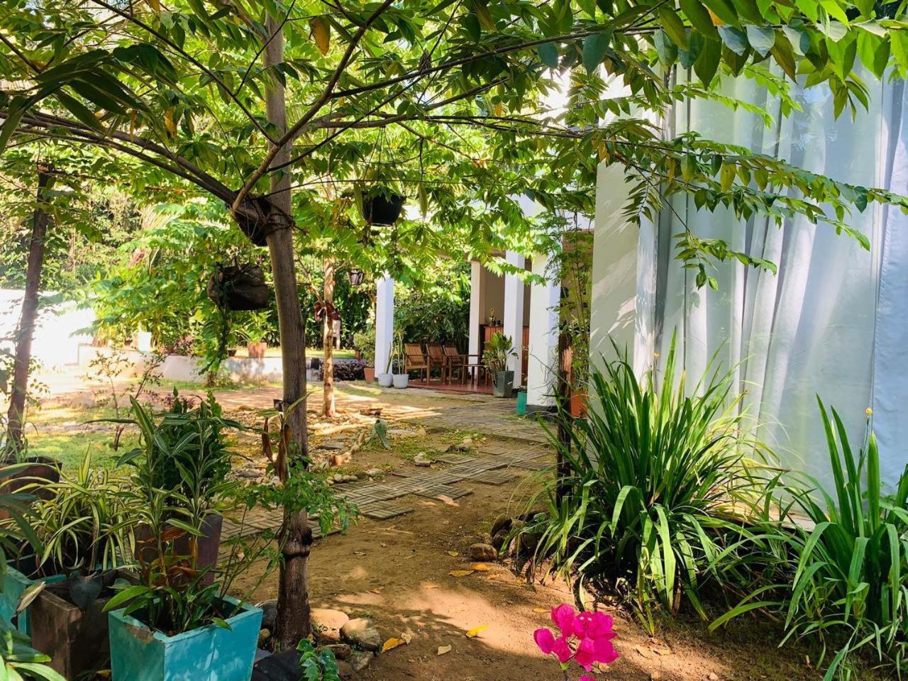 אודוואלאווה Chill House Safari Resort מראה חיצוני תמונה